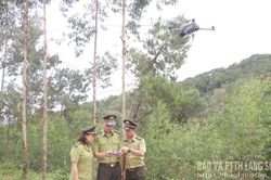 Tăng cường quản lý, bảo vệ rừng