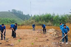 Nh&acirc;n l&ecirc;n m&ocirc; h&igrave;nh 'D&acirc;n vận kh&eacute;o'