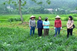 Sức trẻ trong hành trình xây dựng nền hành chính chuyên nghiệp, gần dân