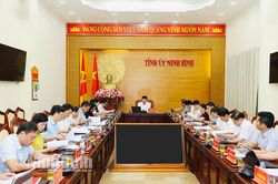 Ban Thường vụ Tỉnh ủy xem xét, thi hành kỷ luật đảng viên vi phạm