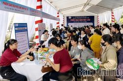 Tr&ecirc;n 500 lao động tham gia phi&ecirc;n giao dịch việc l&agrave;m