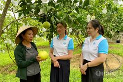 Tiếp sức phụ nữ phát triển kinh tế