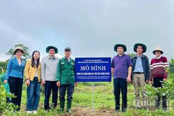 Đổi mới ấn phẩm khoa học và công nghệ