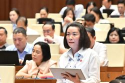 Đo&agrave;n đại biểu Quốc hội tỉnh thảo luận tại hội trường về dự thảo Luật Hải quan (sửa đổi)