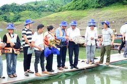 Ph&aacute;t huy tiềm năng nu&ocirc;i c&aacute; lồng tr&ecirc;n hồ thủy điện