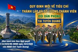 Quy định tiêu chí thành lập và số lượng Đội dân phòng trên địa bàn tỉnh