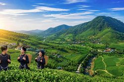 Xanh mướt La Bằng