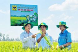 Đất khỏe, cây khỏe, người nông dân thêm niềm tin