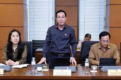 ĐBQH đề nghị quy định cấm xuất bản, ph&aacute;t h&agrave;nh nội dung k&iacute;ch động, kỳ thị, g&acirc;y chia rẽ