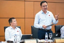 ĐBQH: Làm tốt công tác hòa giải sẽ ngăn được nhiều vụ việc đau lòng