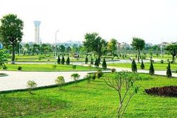 Quy định chế độ quản lý, báo cáo tài sản kết cấu hạ tầng công viên, cây xanh