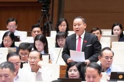 Ho&agrave;n thiện h&agrave;nh lang ph&aacute;p l&yacute; cho hải quan số, hải quan th&ocirc;ng minh