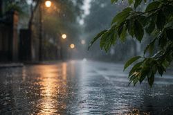 Ch&ugrave;m thơ về mưa của Trần Phương Hồng Điểu