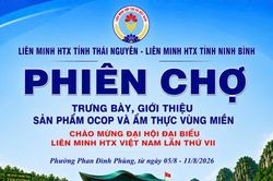Phiên chợ Hợp tác xã tại Thái Nguyên thúc đẩy liên kết sản xuất và tiêu thụ nông sản bền vững