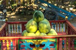 Sở hữu trí tuệ trở thành 'tấm vé' nâng tầm đặc sản Huế