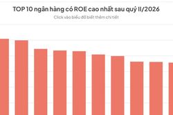 Cuộc đua hiệu quả sinh lời ngành ngân hàng, nhóm tư nhân áp đảo bảng xếp hạng ROE