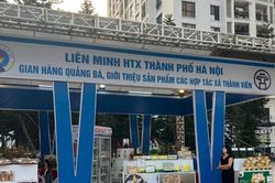 Hợp tác xã còn 6 ngày để chốt cơ hội gặp trực tiếp các chuỗi bán lẻ lớn