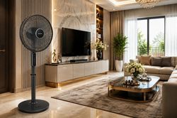 Cẩm nang chọn quạt điện theo từng không gian sống: Phòng ngủ, phòng khách hay phòng trọ?
