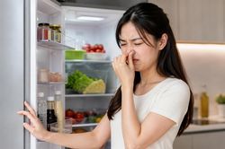 Thói quen cất thức ăn vào tủ lạnh tưởng vô hại nhưng có thể khiến vi khuẩn sinh sôi