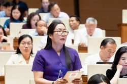 Đại biểu Quốc hội đồng t&igrave;nh quy định cấm kinh doanh b&oacute;ng cười