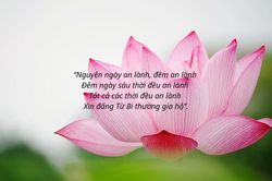 Những câu Kinh bình yên trong tâm hồn