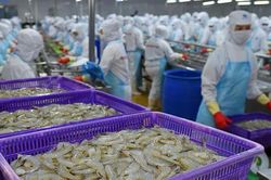 Thực phẩm Sao Ta (FMC) báo doanh số tháng 7 giảm 2%