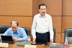 Đại biểu Quốc hội tỉnh thảo luận tại tổ về 2 dự án luật và 1 nghị quyết