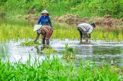 Dân vận khéo, lan tỏa nghĩa tình