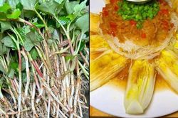 Nhiều người sợ ăn 5 loại rau n&agrave;y v&igrave; lo ung thư, sự thật khiến kh&ocirc;ng &iacute;t người bất ngờ