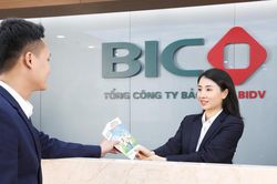 BIC tăng trưởng ph&iacute; bảo hiểm gốc, lợi nhuận qu&yacute; II cải thiện r&otilde; n&eacute;t