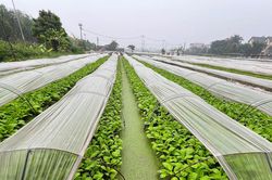 An toàn thực phẩm: Hà Nội chuyển trọng tâm sang tự kiểm soát từ cơ sở