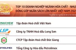 10 doanh nghiệp h&oacute;a chất, nhựa nộp ng&acirc;n s&aacute;ch nhiều nhất Việt Nam