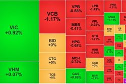 Chứng khoán 5/8: VN-Index điều chỉnh, khối ngoại nối dài chuỗi mua ròng 3 phiên