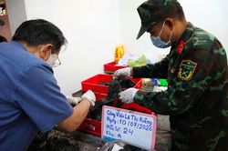 Quy tập thêm 12 hài cốt liệt sĩ tại Công viên Lê Thị Riêng