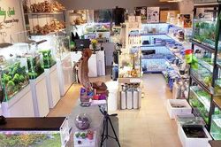 Thành phố Hà Nội có 92 cơ sở sản xuất, kinh doanh thủy sinh vật làm cảnh
