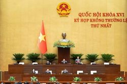 Sớm hoàn thiện hạ tầng dữ liệu, rút ngắn thời gian xử lý thủ tục hải quan