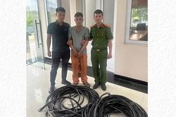 Hà Nội: Giả danh nhân viên điện lực cắt trộm hơn 100m dây cáp đồng