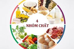 Cách xây dựng thực đơn ăn dặm cân bằng 4 nhóm chất cho trẻ