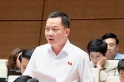 ĐBQH: Cần đưa kinh doanh kim cương vào ngành, nghề đầu tư kinh doanh có điều kiện