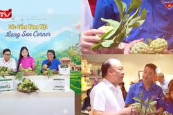 Kết nối thị trường, mở rộng đầu ra cho nông sản Việt
