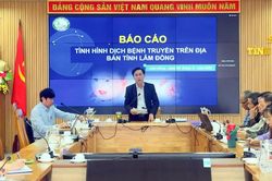 Lâm Đồng: Phòng chống sốt xuất huyết trước diễn biến phức tạp của dịch bệnh truyền nhiễm
