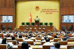 Quốc hội nghe trình bày về việc thành lập hai thành phố Quảng Ninh, Bắc Ninh