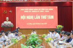 SẮP XẾP, TINH GỌN BỘ MÁY: Thống nhất THÀNH LẬP 2 ĐẢNG BỘ trực thuộc TỈNH ỦY