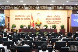 Đà Nẵng: Thông qua chủ trương đầu tư hoàn thiện hạ tầng dùng chung cảng Liên Chiểu