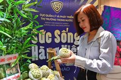 Th&uacute;c đẩy ph&aacute;t triển thị trường b&aacute;n lẻ