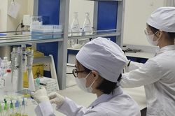 Triển khai đồng bộ các giải pháp quản lý chất lượng thuốc
