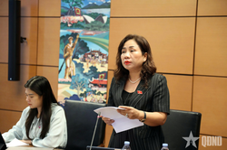 Đại biểu Quốc hội đề nghị siết chặt 'lá chắn' tín dụng an toàn, bảo vệ quyền lợi người dân