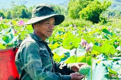 Khai thác tiềm năng, hỗ trợ sinh kế vùng núi