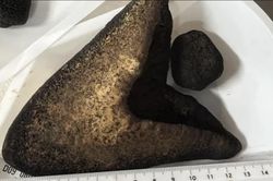 Nhiều chiếc răng megalodon được phát hiện dưới đáy đại dương, hé lộ những manh mối mới về gã khổng lồ thời tiền sử.