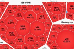 VN-Index đảo chiều giảm mạnh cuối phi&ecirc;n